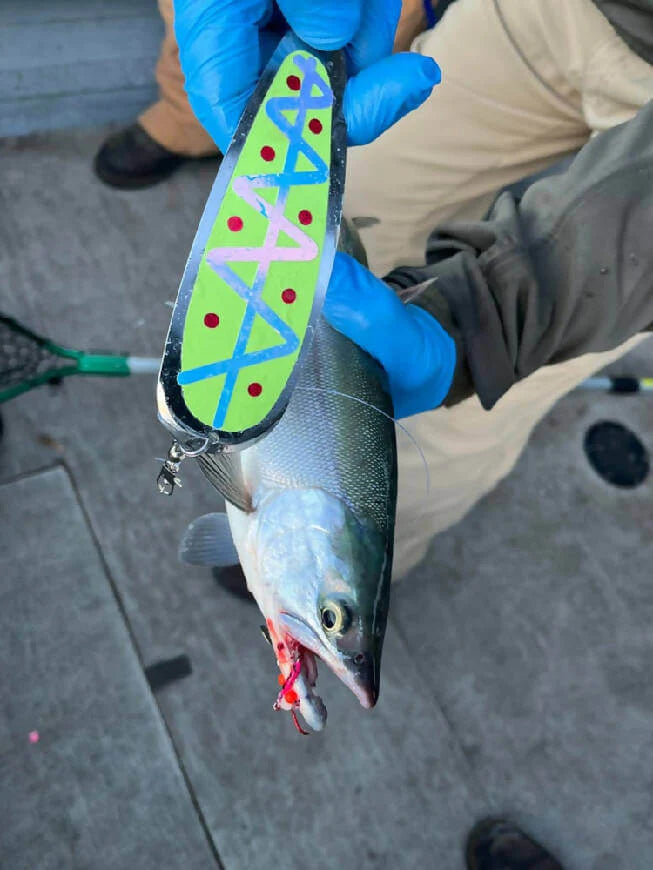 5.5” Dodger UV Moon Glow Jelly “Dave’s Special”