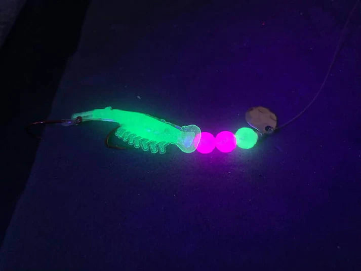 Super Micro Glow Shrimp