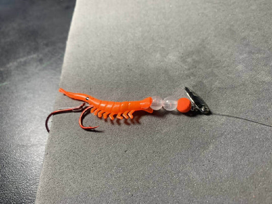 Orange Micro Shrimp